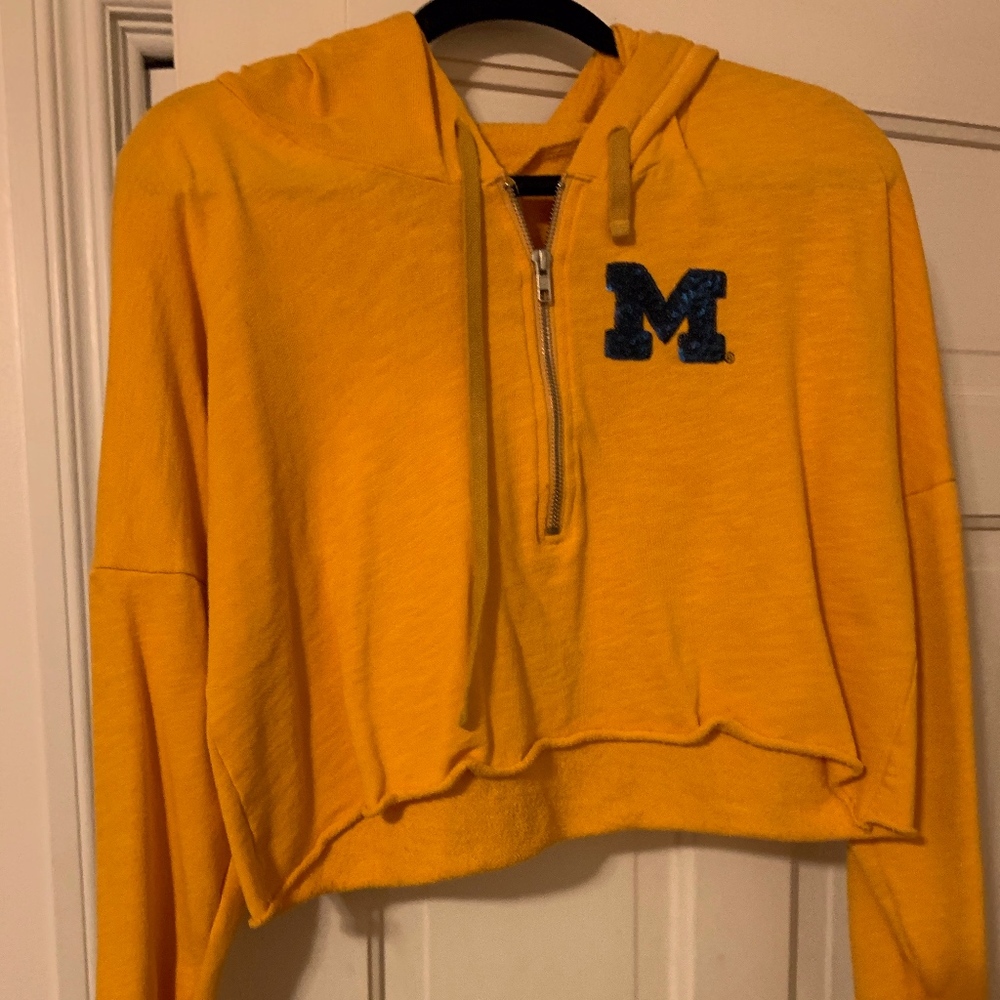 pink brand university of Michigan cropped hoodie